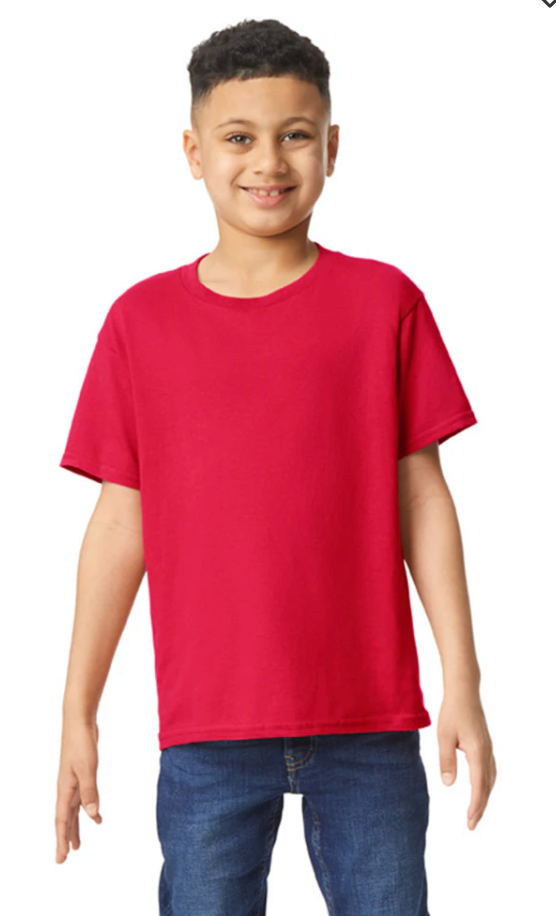 Custom Youth Heavy Cotton™ T-Shirt - Pink/Red/Maroon